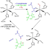 Fig 1.