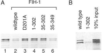 Fig 5.