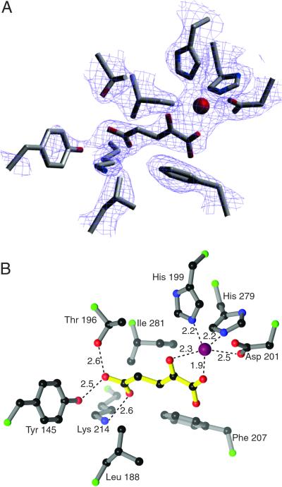 Fig 4.