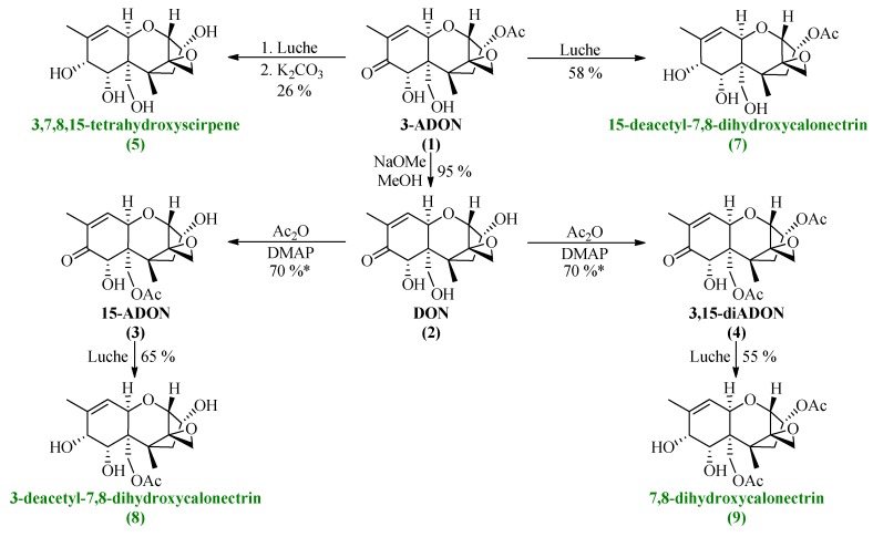 Scheme 5