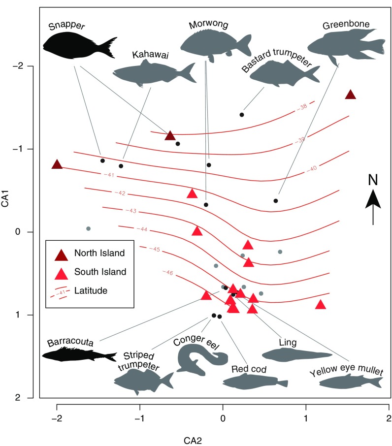 Fig. 3.