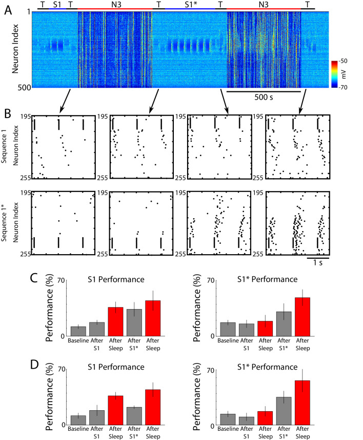 Figure 5—figure supplement 1.