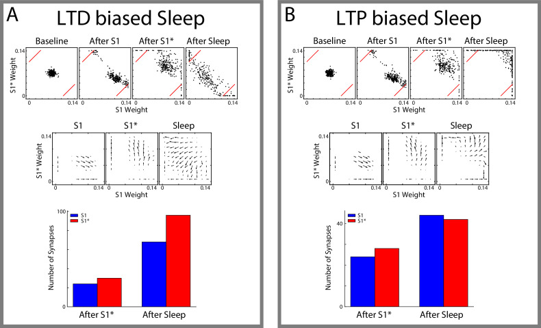 Figure 7—figure supplement 2.