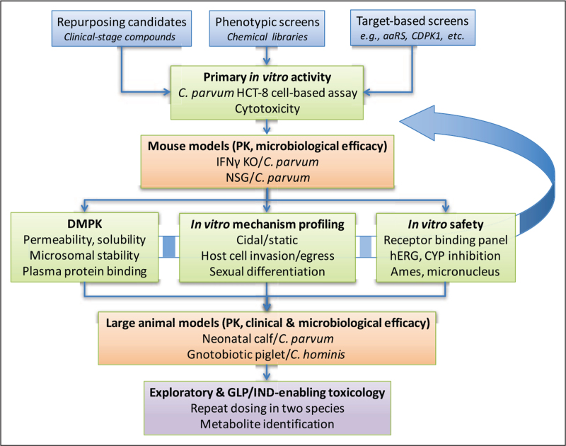 FIGURE 1