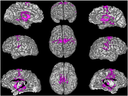 Fig. 3