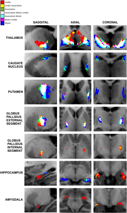 Fig. 6