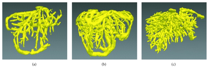 Figure 10