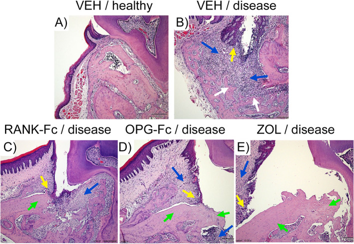 Fig. 4