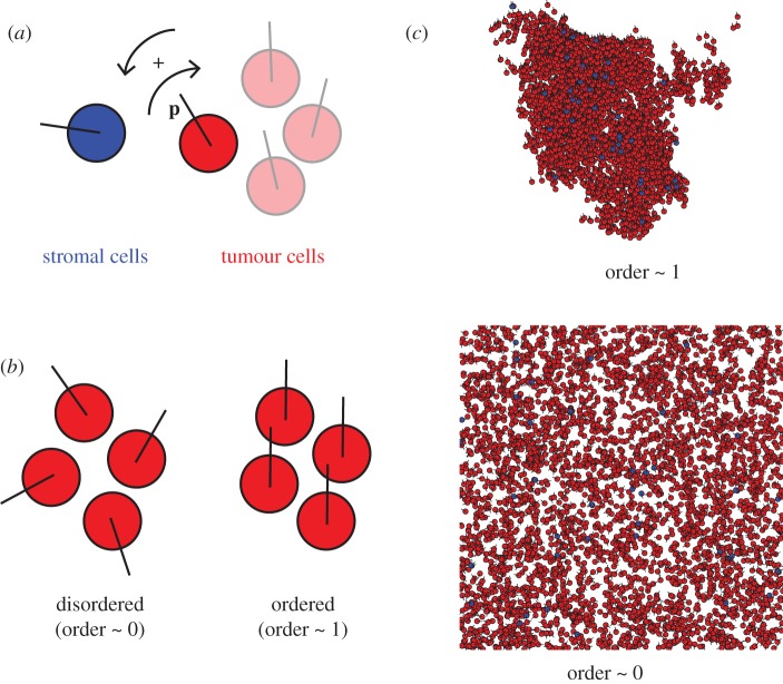 Figure 1.