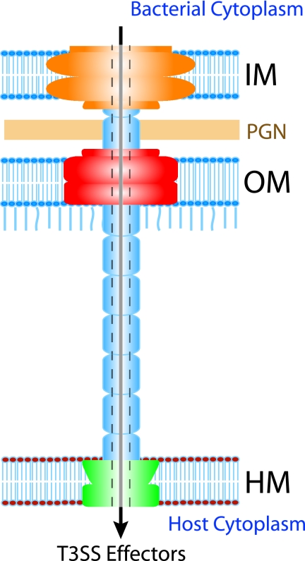 FIG. 1.