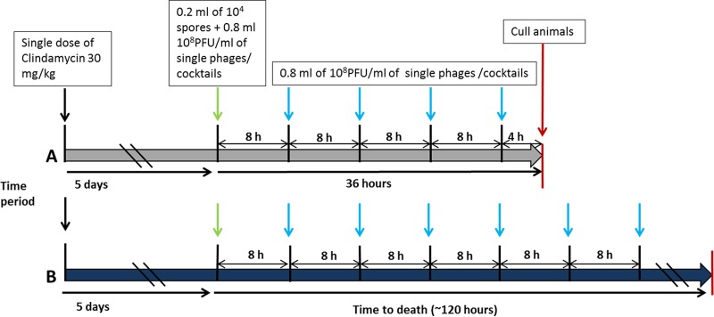 FIG 1