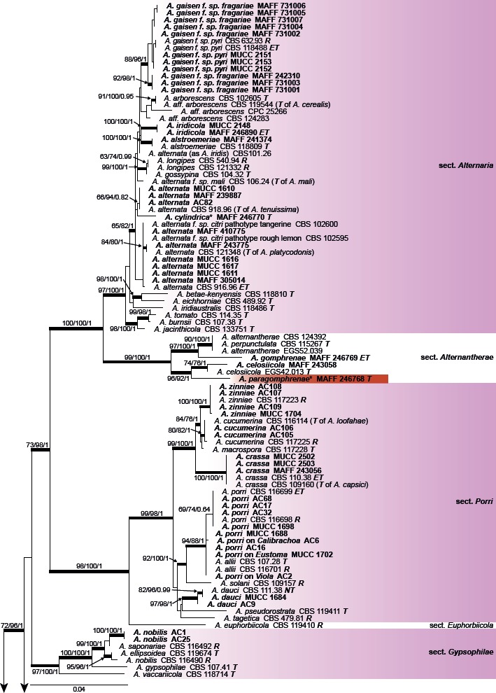 Fig. 1.