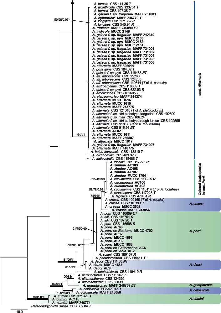 Fig. 2.