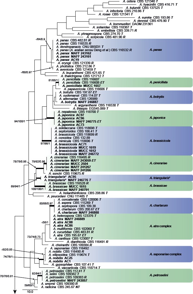 Fig. 2.