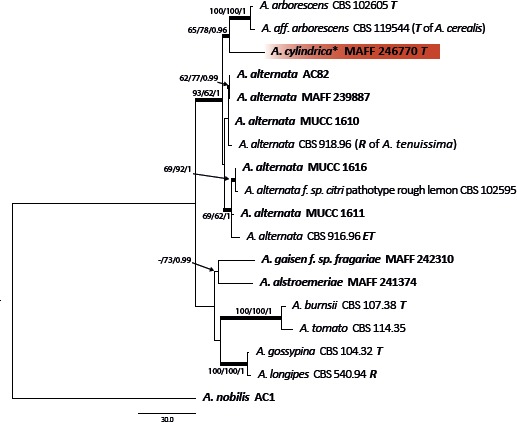 Fig. 3.