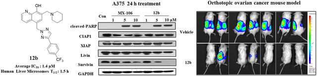 graphic file with name nihms-1731506-f0001.jpg