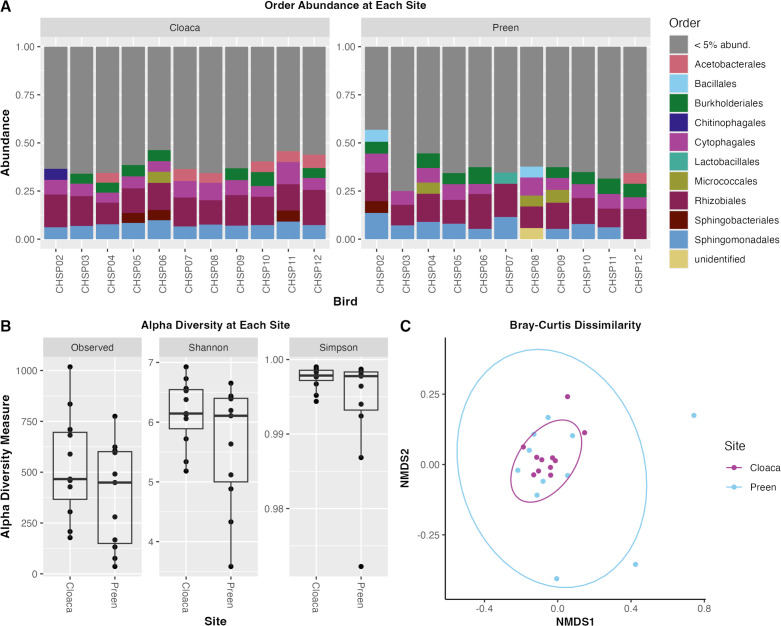 This figure shows the abundance of microbial orders in cloaca and preen gland samples from various birds. Image includes alpha diversity measures using observed, Shannon, Simpson indices, and non-metric multidimensional plot of Bray-Curtis dissimilarity.