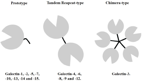 Fig. (2)