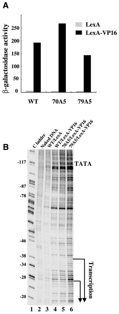 Figure 6