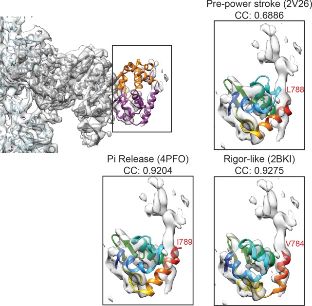 Figure 4—figure supplement 1.