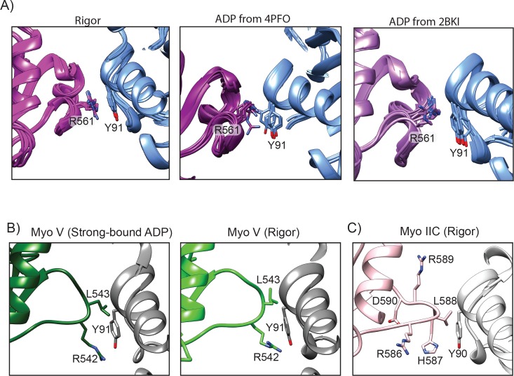 Figure 3—figure supplement 6.