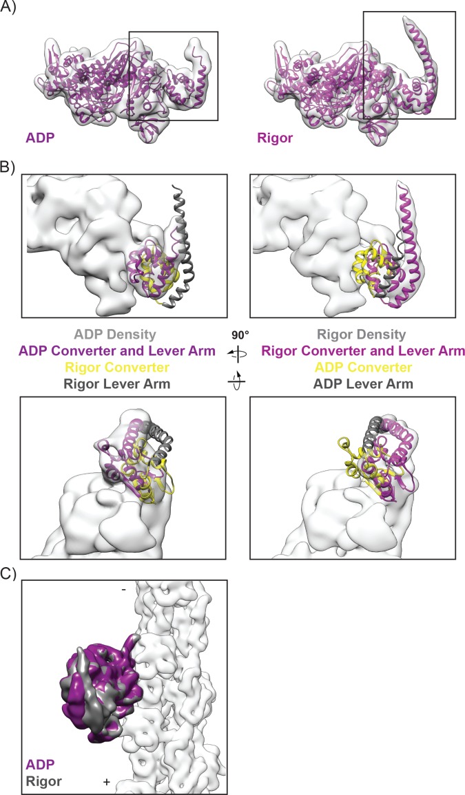 Figure 5—figure supplement 1.