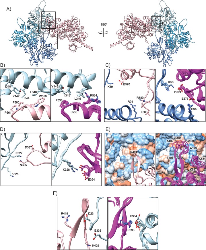 Figure 2—figure supplement 1.