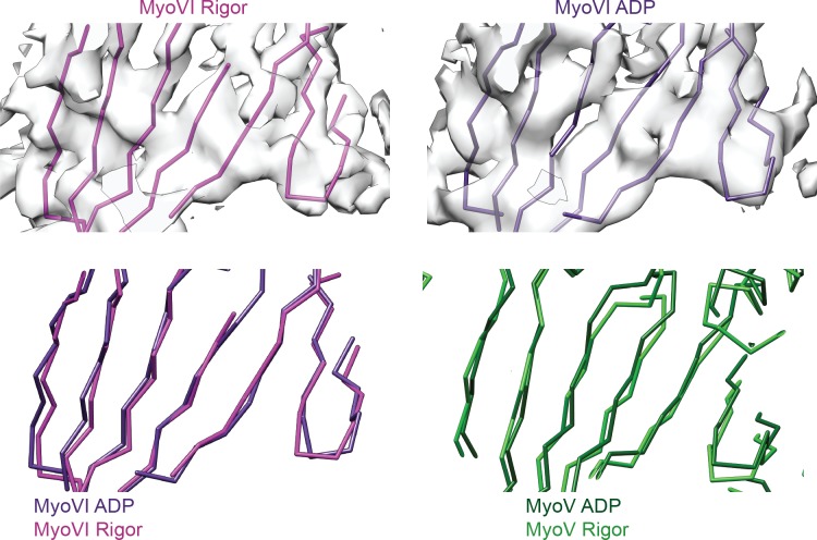 Figure 3—figure supplement 5.