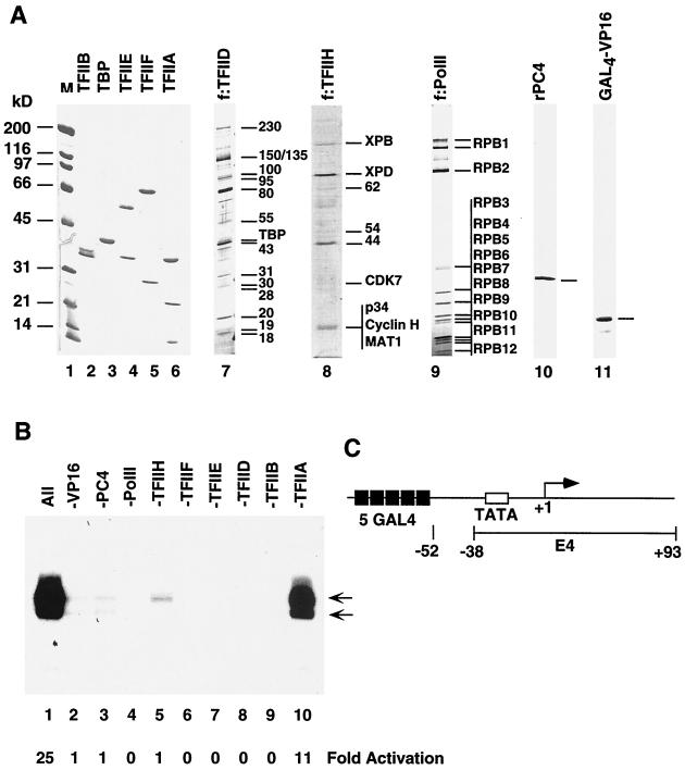 FIG. 4