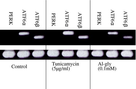 Fig. 5