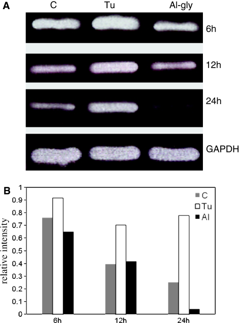 Fig. 3