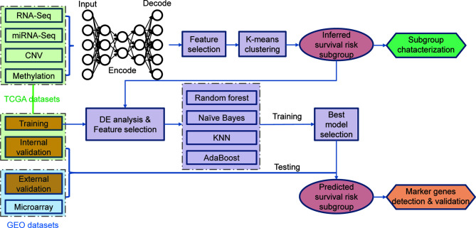 Figure 1