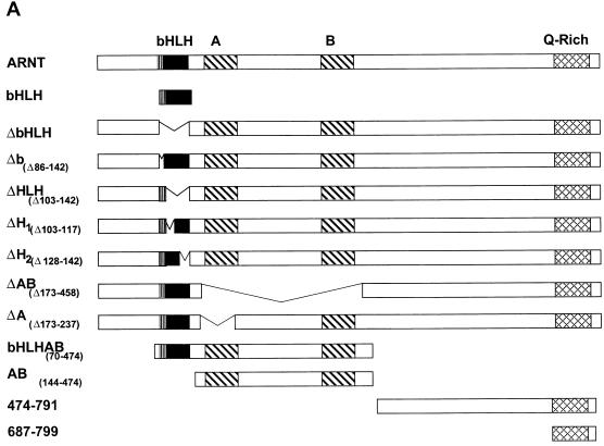 FIG. 9.