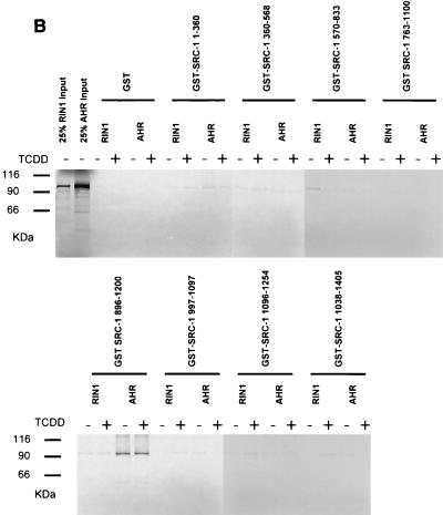 FIG. 8.