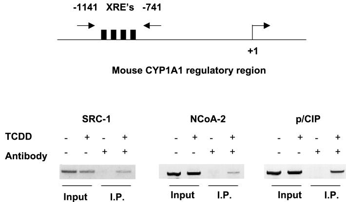 FIG. 6.