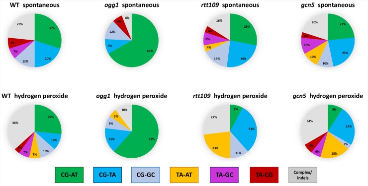 Fig 6