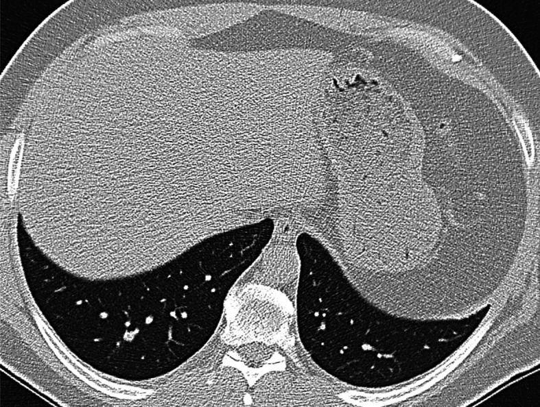 Fig. 5.