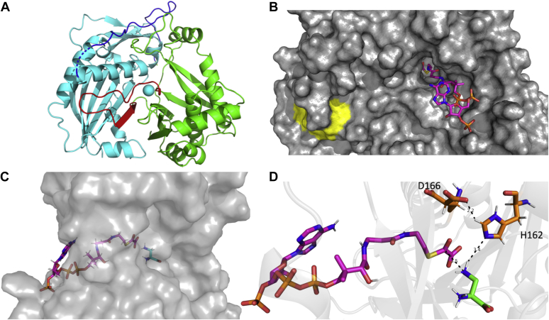 Figure 4