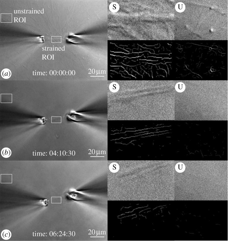 Figure 10.