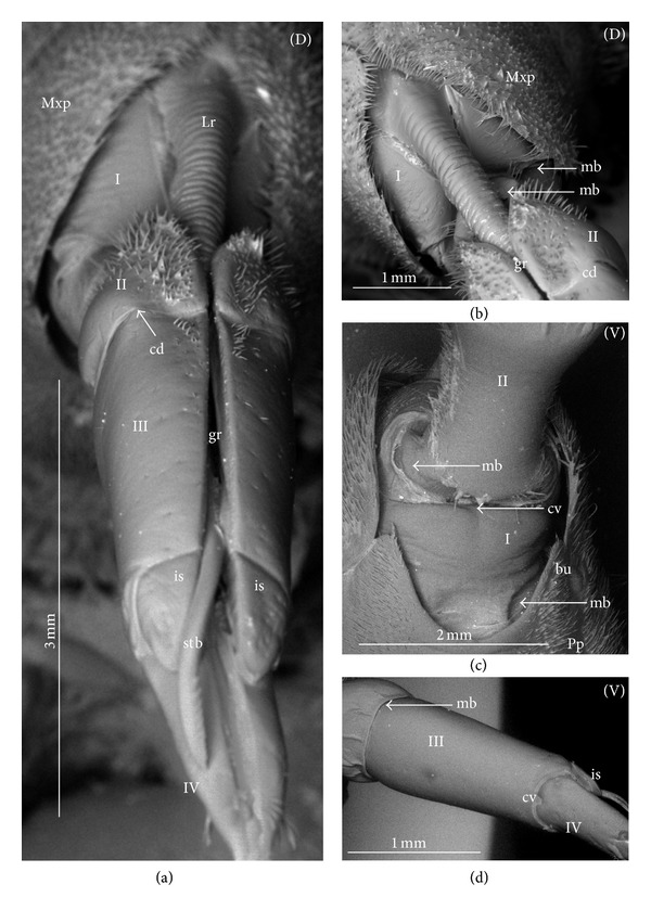 Figure 12