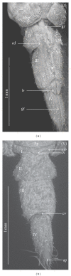 Figure 8