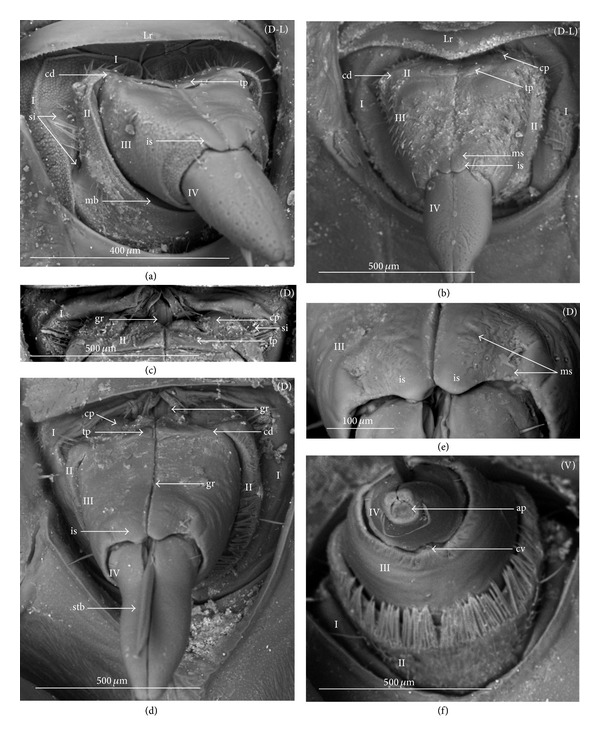 Figure 21