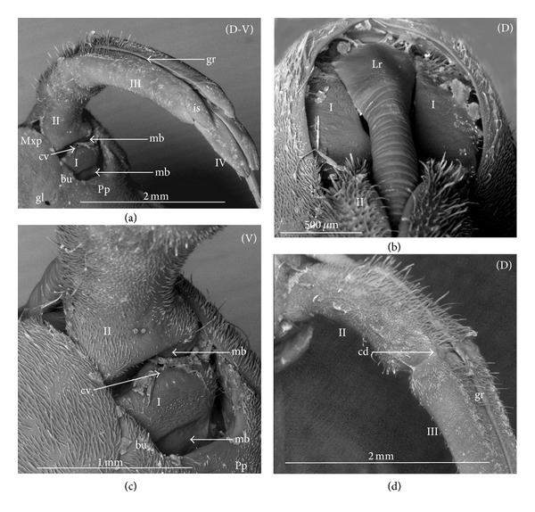 Figure 13