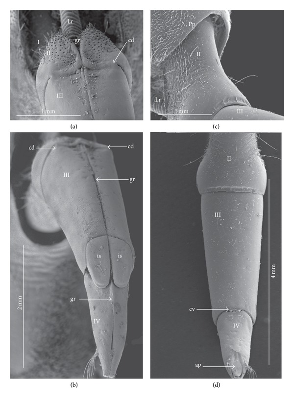 Figure 14