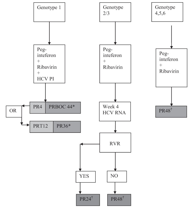 Figure 2)