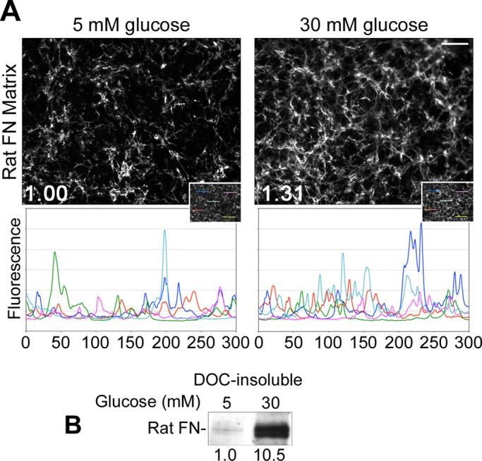 FIGURE 2: