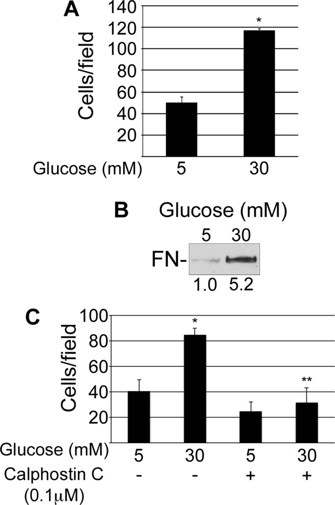 FIGURE 4: