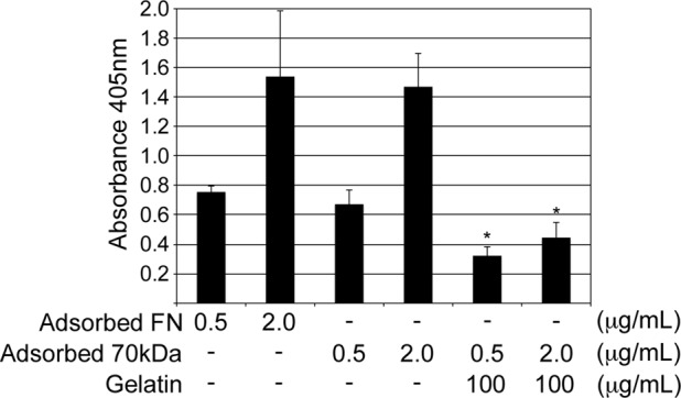 FIGURE 5: