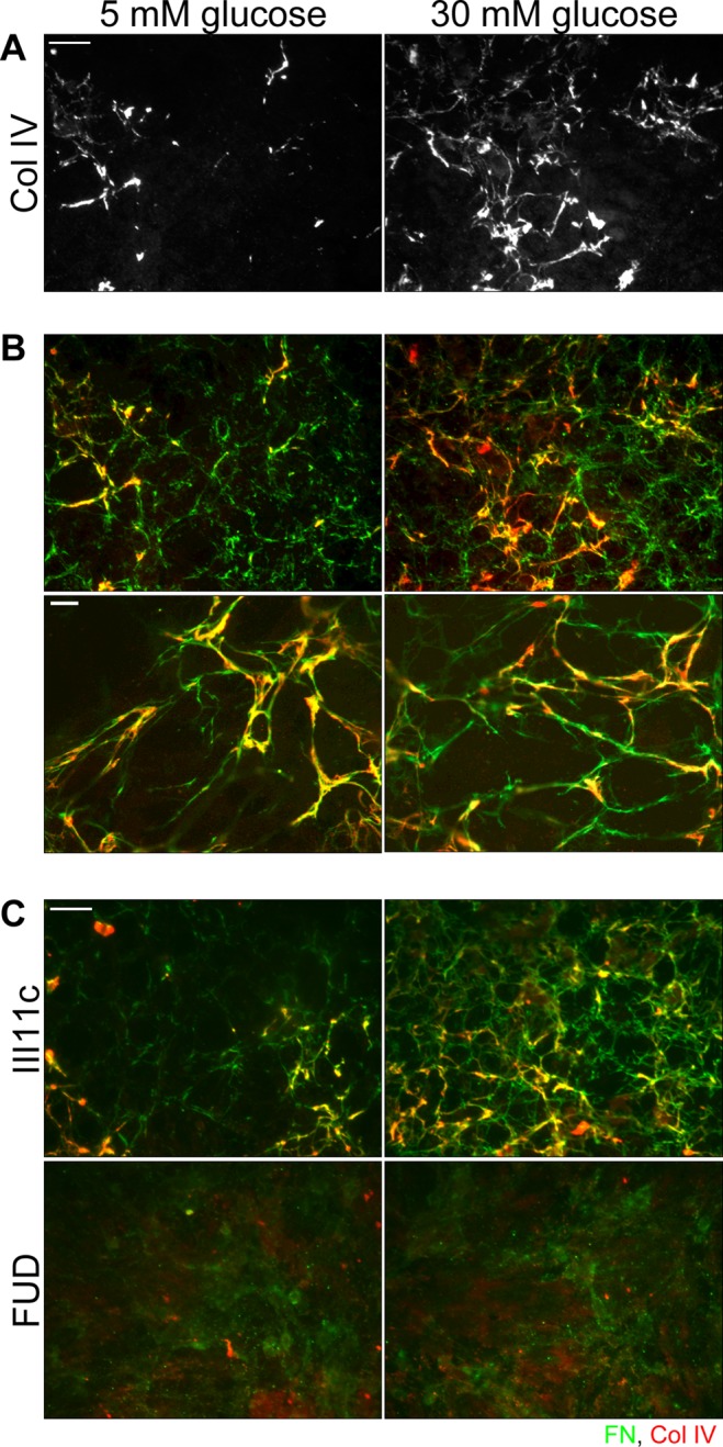 FIGURE 6: