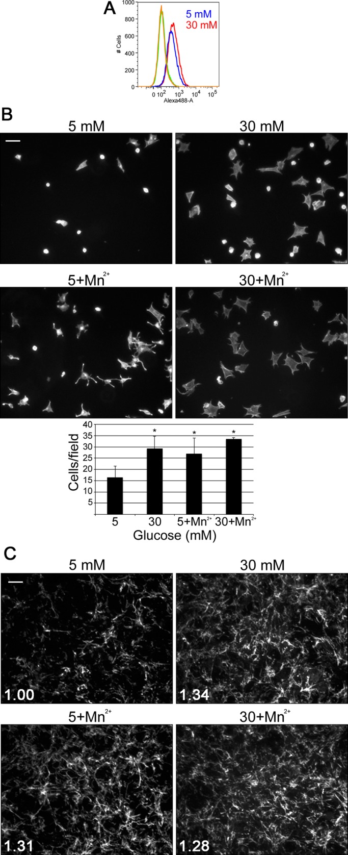 FIGURE 3: